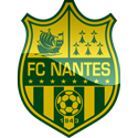 נאנט logo