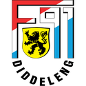f91 דודלאנג'