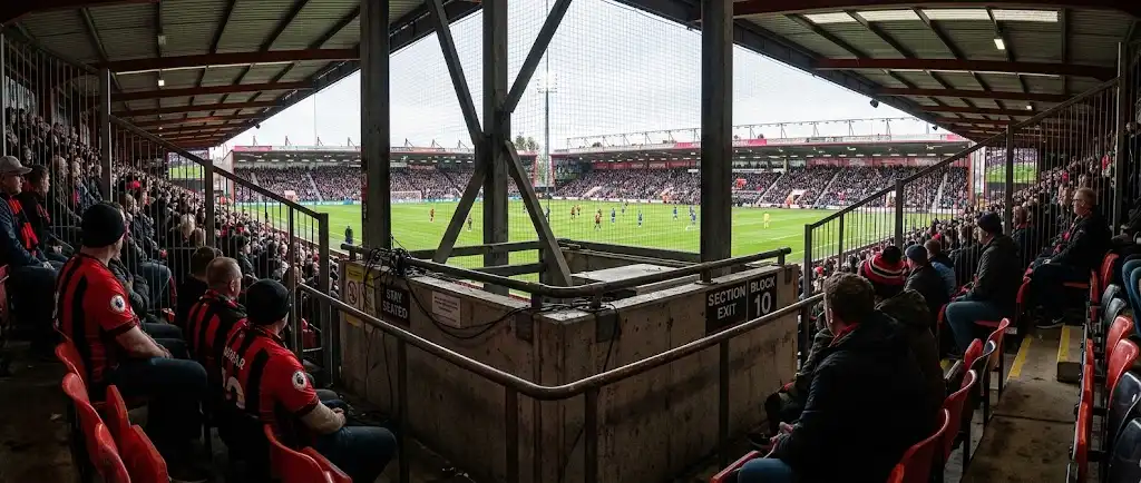 המקום הגרוע ביותר לשבת בו ב-Vitality Stadium background image